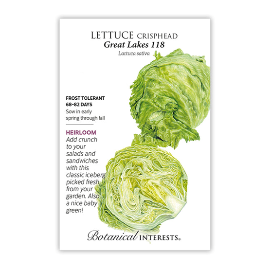 Botanical Interests Lettuce Crisphead Great Lakes