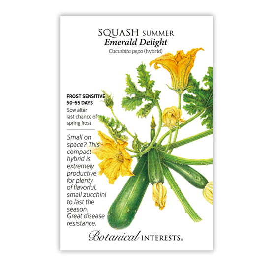 Botanical Interests Squash Summer Emerald F1