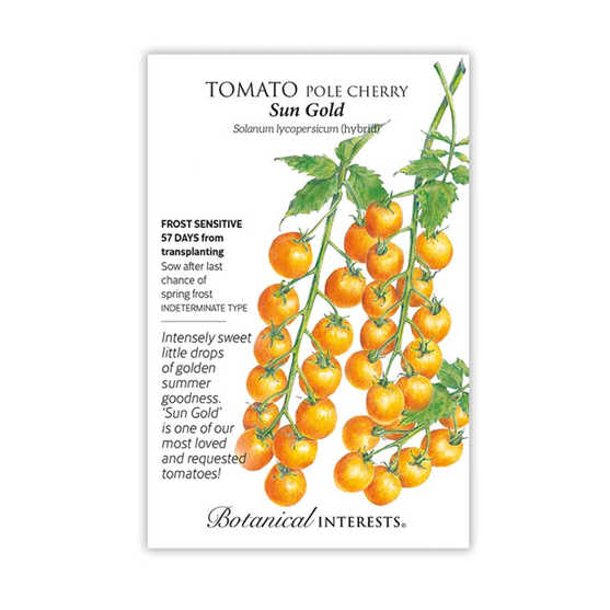 Botanical Interests Tomato Cherry Sungold F1