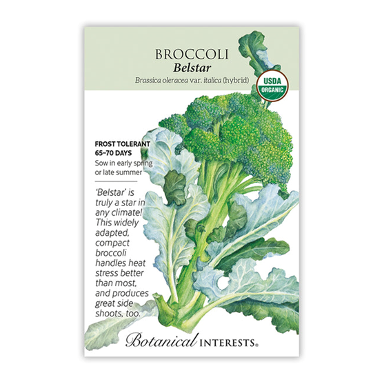 Botanical Interests Broccoli Belstar