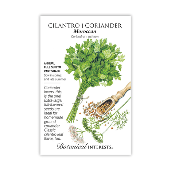 Botanical Interests Cilantro Moroccan