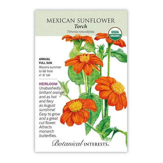 Botanical Interests Torch Mexican Sunflower