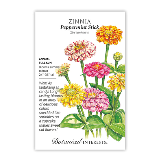 Botanical Interests Zinnia Peppermint Stick