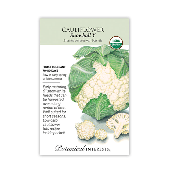 Botanical Interests Cauliflower Snowball