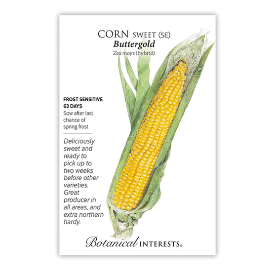 Botanical Interests Corn Buttergold Seed