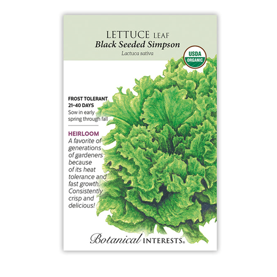 Botanical Interests Lettuce Black Seeded Simpson