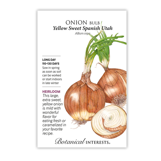 Botanical Interests Onion Yellow Sweet Spanish