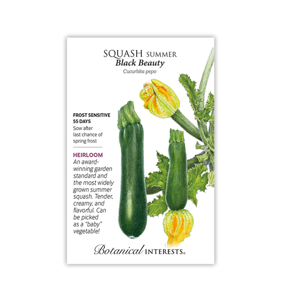 Botanical Interests Zucchini Black Beauty Seed