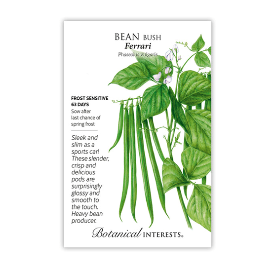 Botanical Interests Bean Ferrari Bush Seed