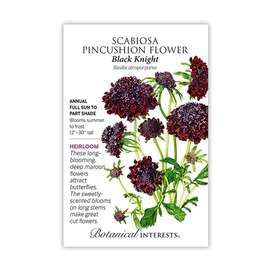 Botanical Interests Scabiosa Black Knight Seed