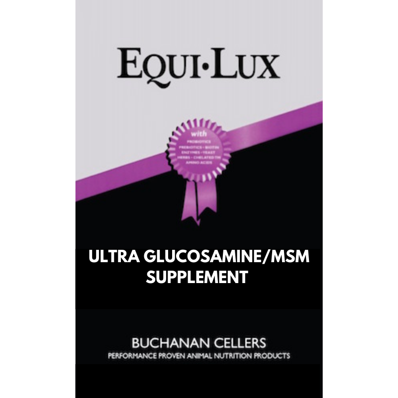 Beaver Brand Equi-Lux Ultra Glucosamine/MSM 1 lb