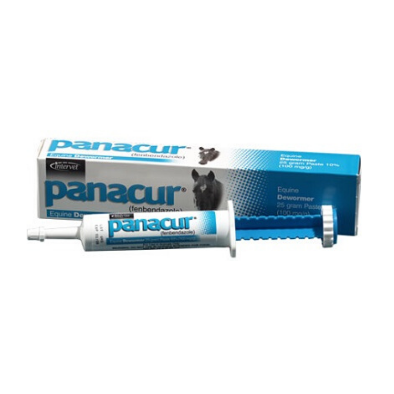 Panacur Horse Wormer