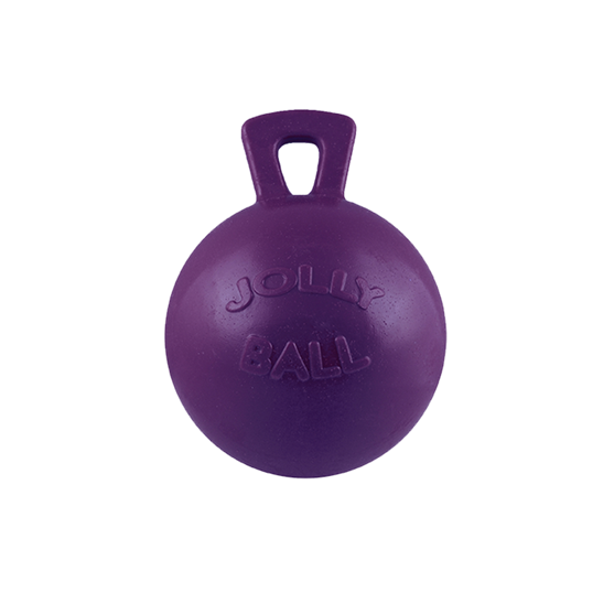 Horseman's Pride Jolly Ball with Handle Purple