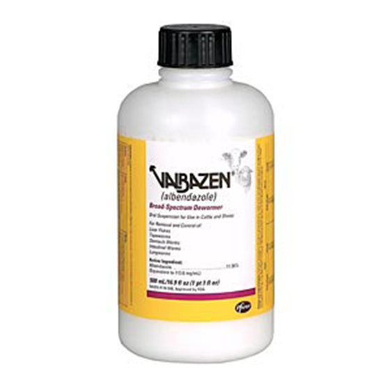 Pfizer Valbazen Suspension 500ml