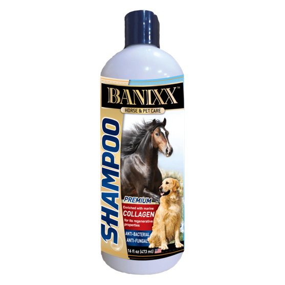 Banixx Medicated Horse Shampoo