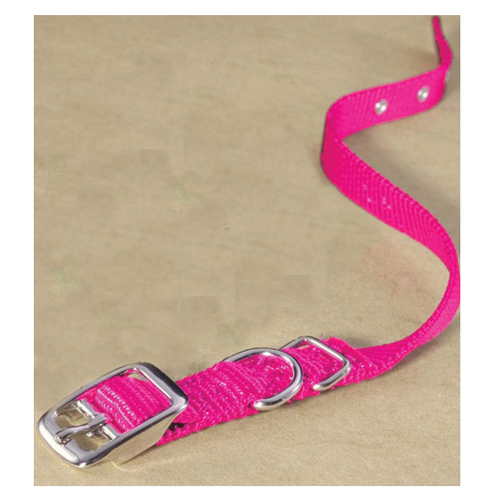 Hamilton Collar 5/8" Hot Pink 16"