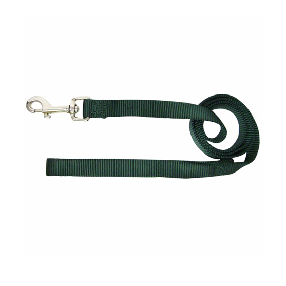 HAMIL LEASH 5/8" GREEN 4 FT