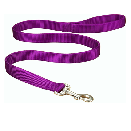 Hamilton Leash 1" Purple Foot