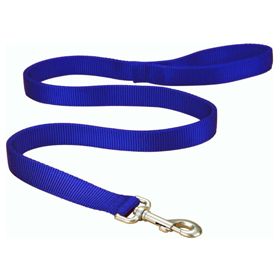 Hamilton Leash 1" Blue 6 Foot