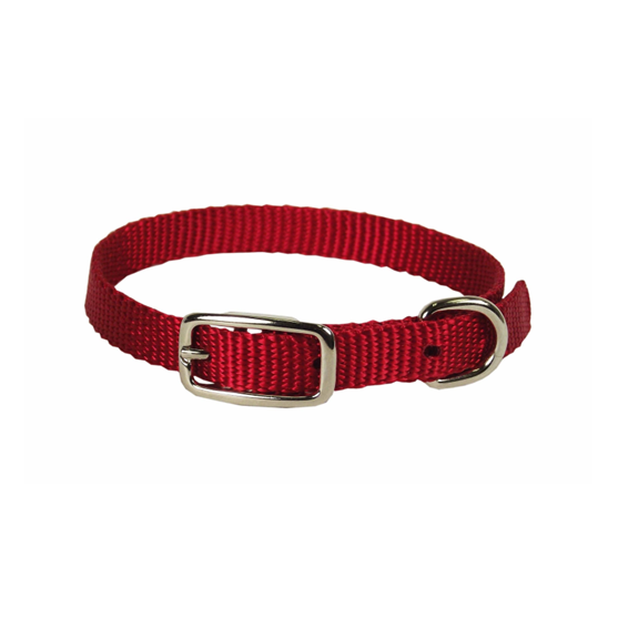 Hamilton 5/8" Collar 16" Red