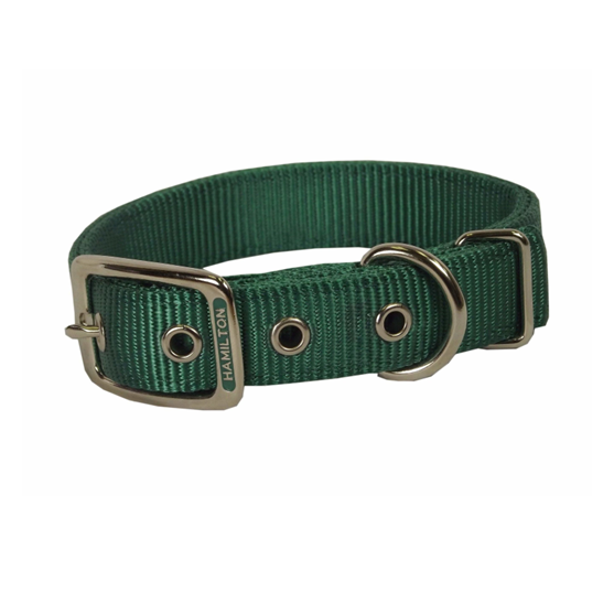 Hamilton Collar Double 1"X22" Green