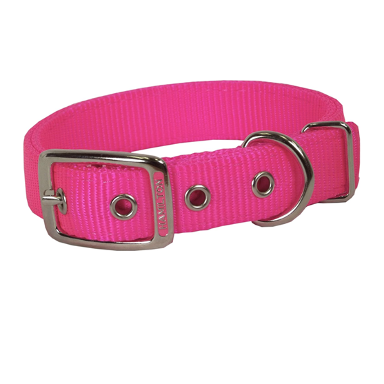 Hamilton Double Collar Pink 1"X22"