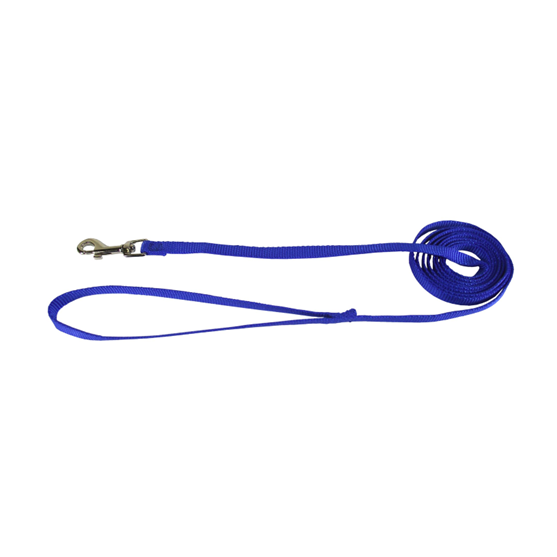 Hamilton 5/8"X 6' Nylon Lead Blue