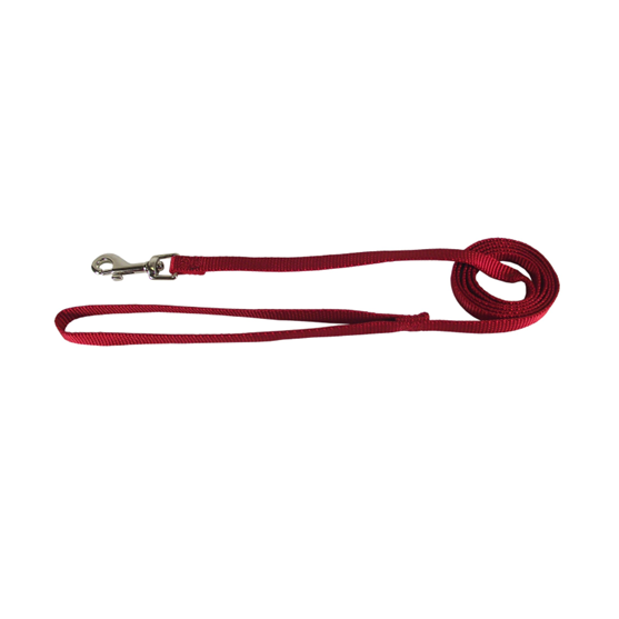 Hamilton Nylon Lead 5/8"X 6' Red