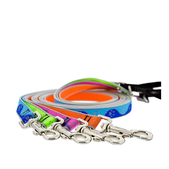 Lupine High Lights 3/4" 6ft Leash Assorted