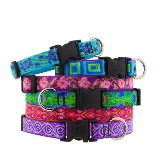 Lupine 1" 12"-20" Dog Collar Assorted