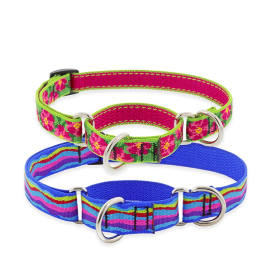 Lupine 3/4" 10"-14" Martingale Collar