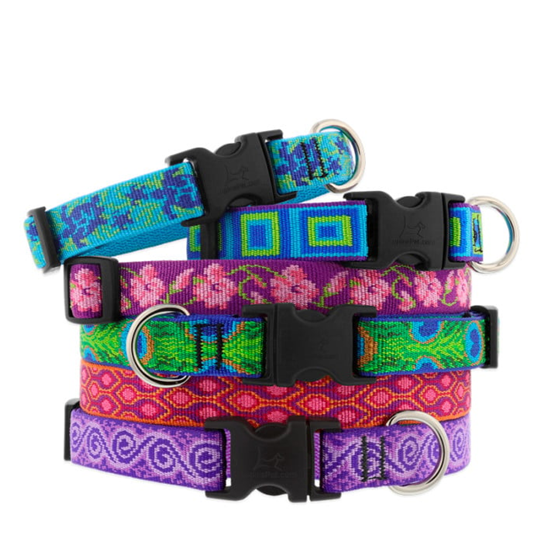 Lupine 1/2" 10"-16" Dog Collar Assorted