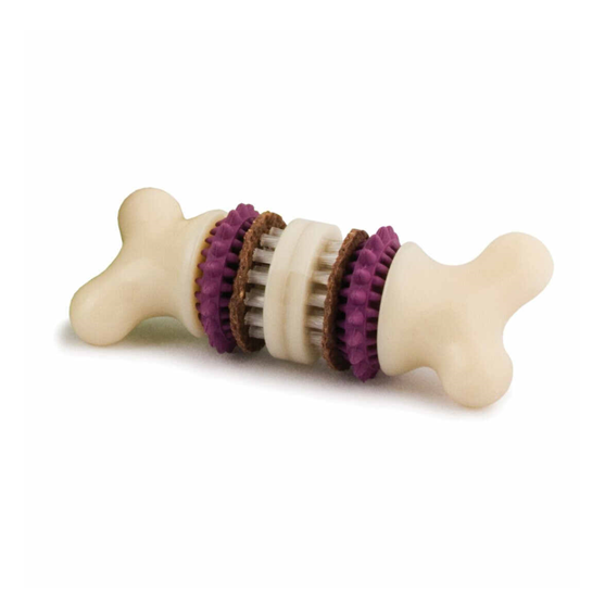 PetSafe Busy Buddy Bristle Bone Small