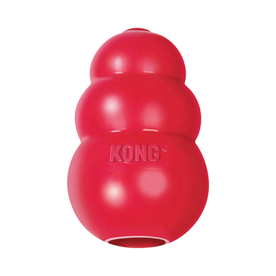 Kong Toys Red Kong Large T1