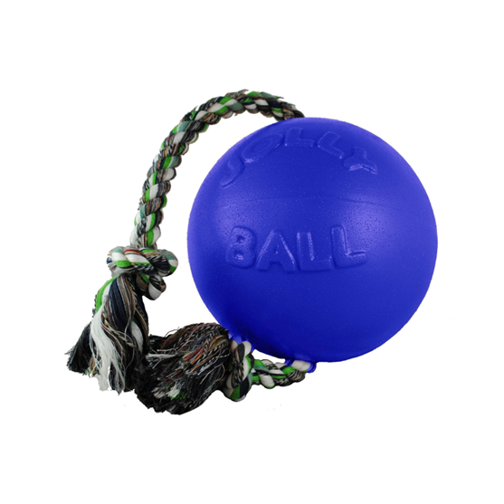 Jolly Pets Romp-N-Roll Pet Toy 8" Blue