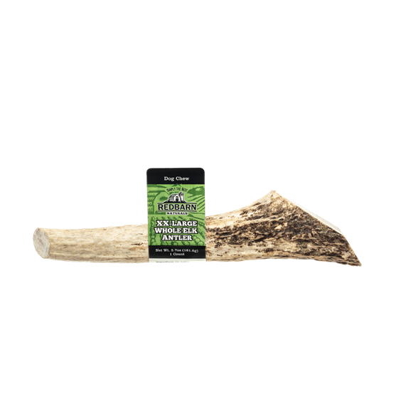 Redbarn Antler Whole Extra Extra Large