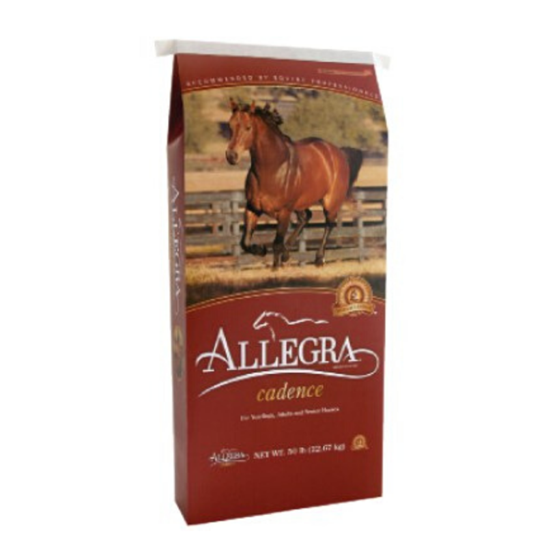 HAYSTACK TEFF PLUS PELLETS 40#