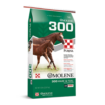 Purina Omolene 300 Mare & Foal 16% 50 lb