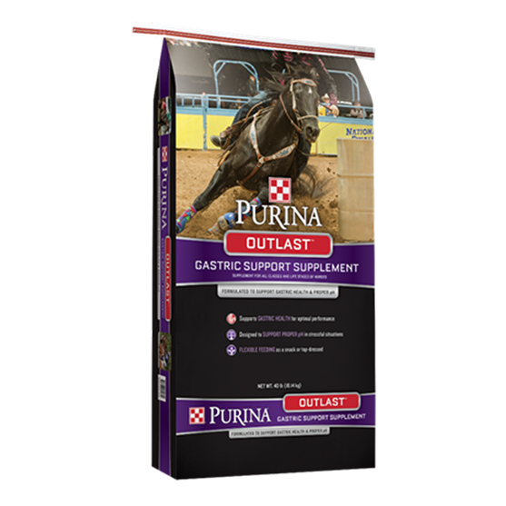 Purina Outlast Gastric Support 40 lb