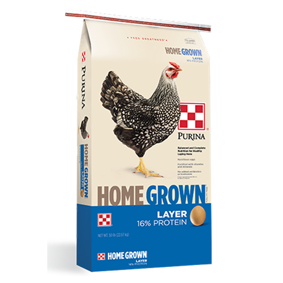 Purina Home Grown No-Corn No-Soy 16% Layer Crumbles 50 lb