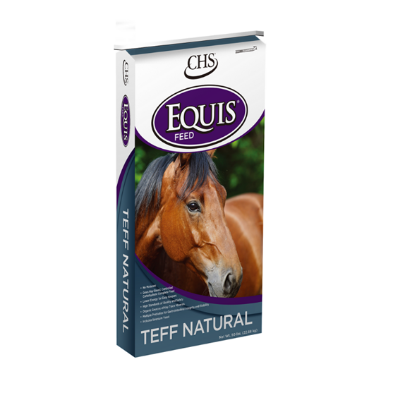 Equis Teff Natural 50 lb