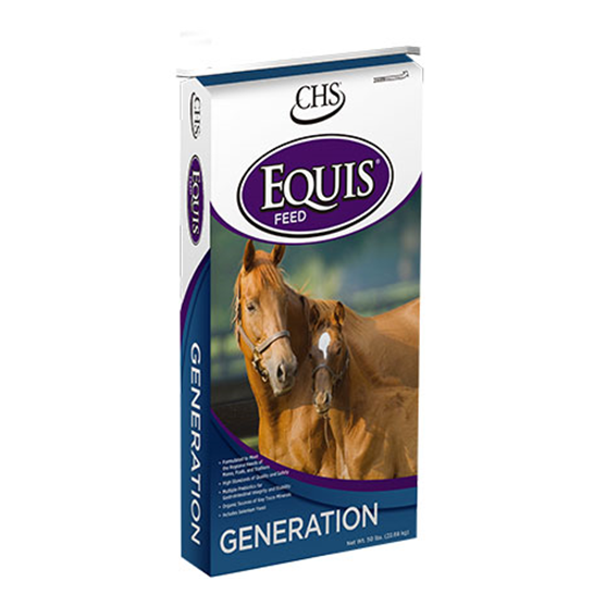 Equis Generation 50 lb