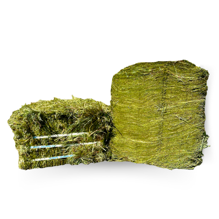 Beaver Brand Orchard Grass Hay Compressed Bale