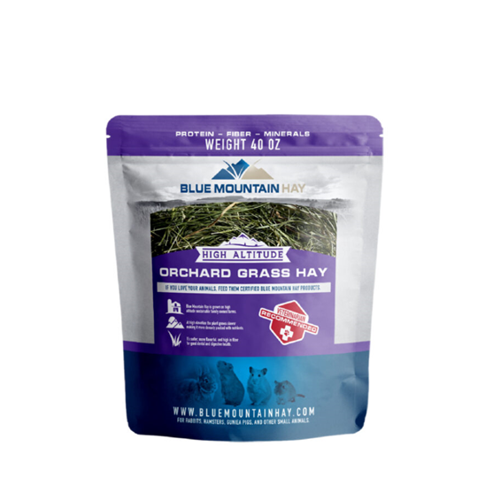 Blue Mountain Hay Orchard Grass Hay 40 oz bag