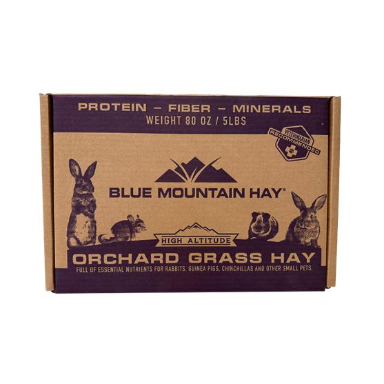 Blue Mountain Hay Orchard Grass Hay 5 lb box