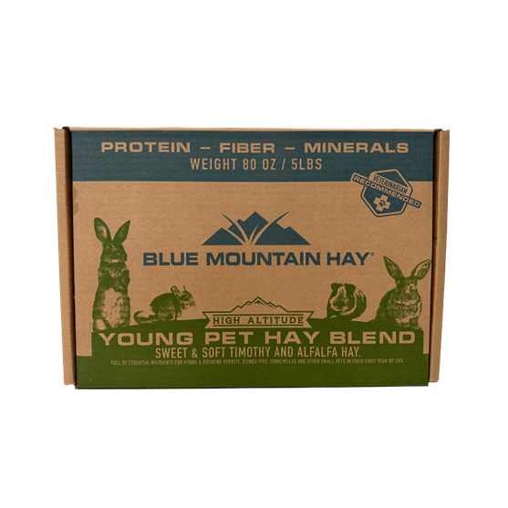 Blue Mountain Hay Young Pet Blend Hay 5 lb box