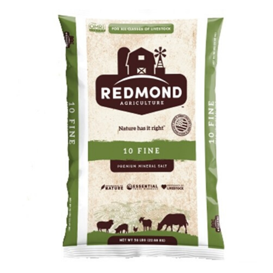 Redmond Salt #10 50 lb