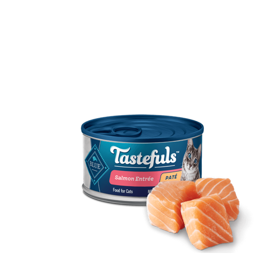 Blue Buffalo Salmon Pate 5.5 oz Cat Food