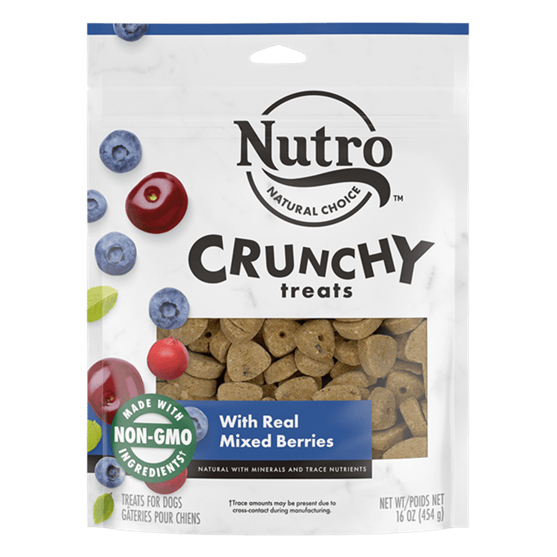 Nutro Berry Crunch Dog Treat 10 oz