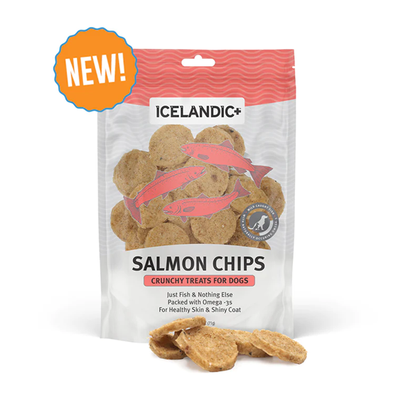 Icelandic Salmon Chips 2.5 ounces
